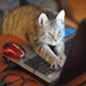 Meet your Posher, Heidi